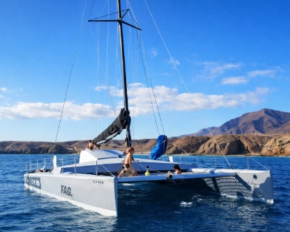 Custom Built Formula 40