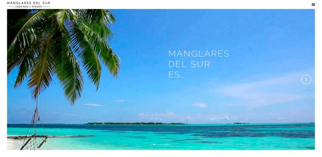 Captura de la página de inicio de Manglares del Sur